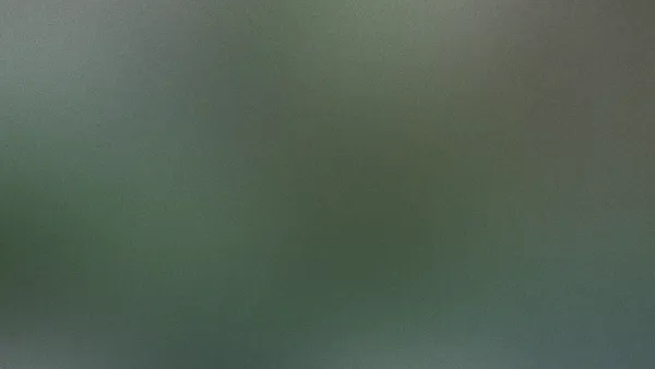 Finding the Right Billing Model: Pricing and Monetization Models for Tech Companies